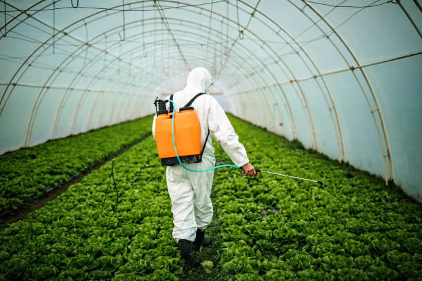 Best Pest Prevention Services  in Pender, NE