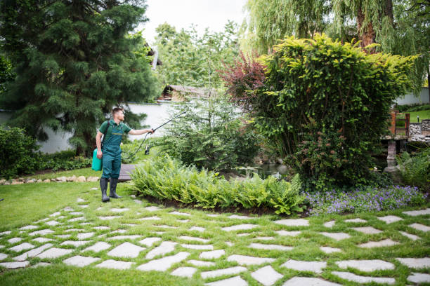 Best Local Pest Control Services  in Pender, NE