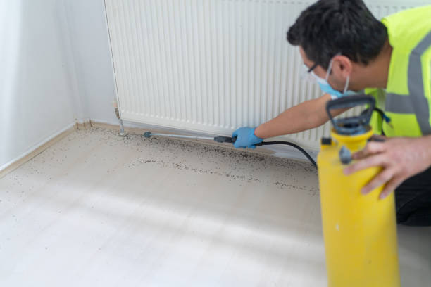 Best Bed Bug Extermination  in Pender, NE