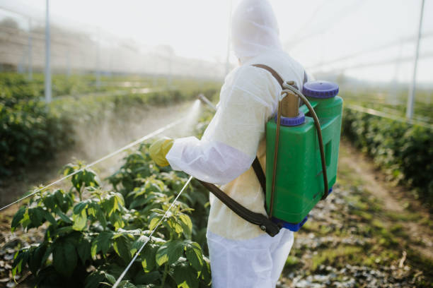 Best Residential Pest Control  in Pender, NE